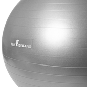 Piłka Gimnastyczna 75 Cm Do Ćwiczeń I Rehabilitacji Szara Z Pompką