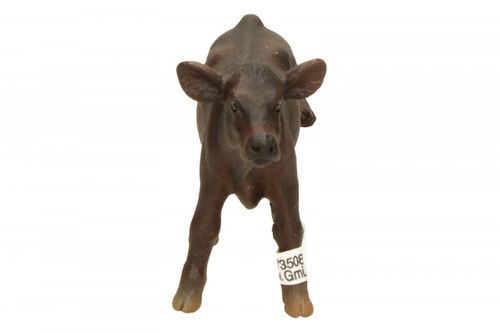 Schleich Angus czarne cielę na Arena.pl