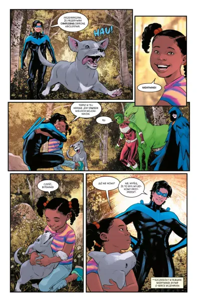 Nightwing. Czas Tytanów. Tom 3 zdjęcie 2