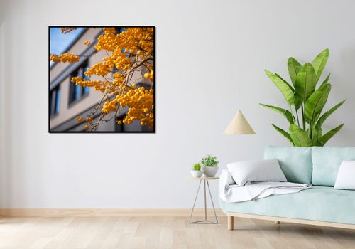 Plakat 100x100cm Złote Jagody na Arena.pl