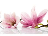 100 70CM OBRAZ PŁÓTNO RÓŻOWE MAGNOLIE PŁÓTNO RAMA