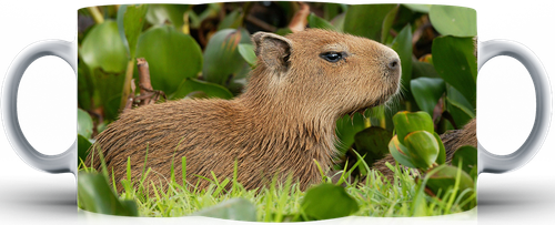 Kubek ceramiczny Kapibara na Arena.pl