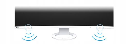 Monitor LED 32" Eizo EV3895-BK Curved na Arena.pl