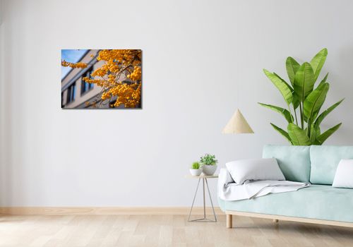 Obraz 70x50cm Złote Jagody na Arena.pl