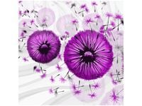 product-compare-58657864