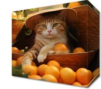 product-compare-59477355