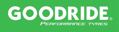 4x 205/55R16 Z-401 91V GOODRIDE całoroczne nowe ROK 2025 na Arena.pl