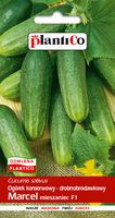 NASIONA Ogórek Gruntowy Marcel Konserwowy Do Kwaszenia 5g PLANTICO 401174