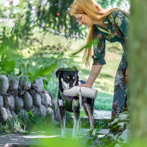 Butelka na Wodę dla Psa Bidon z Miską Poidło Turystyczne Składane na Arena.pl