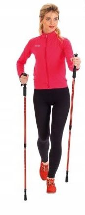 KIJKI DO CHODZENIA NORDIC WALKING ZESTAW PIĘKNE NASYCONE KOLORY+GRATISY na Arena.pl