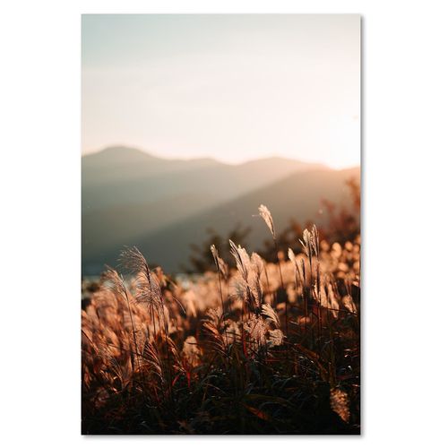 Deco Panel, Wysokie trawy 40x60 na Arena.pl