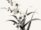 Plakat 100x75cm Orchidea