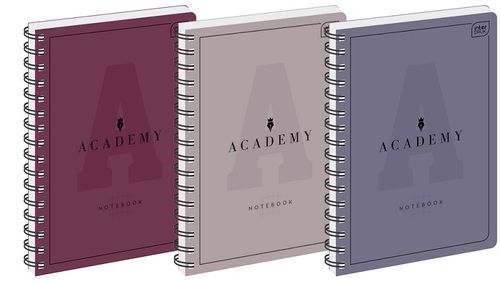 KOŁOZESZYT A5 100# ACADEMY INTERDRUK na Arena.pl