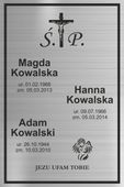 TABLICZKA NAGROBNA NAGROBKOWA ALUMINIOWA DIBOND UV pionowa metal 40x30