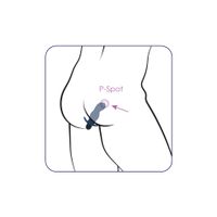 gladius vibrator plug