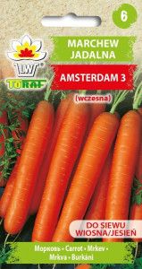 Marchew Amsterdam 3 wczesna nasiona 5 g zdjęcie 5