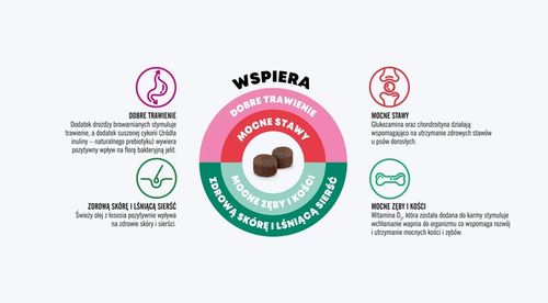 John Dog GOOD FORM ADULT Wieprzowina z Wołowiną 3kg Średnie i Duże Rasy na Arena.pl