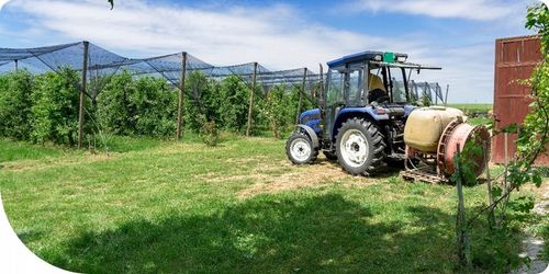 MOSPILAN 20SP 40G ŚRODEK PREPARAT OWADOBÓJCZY NA MSZYCĘ ĆMĘ SZKODNIKI na Arena.pl