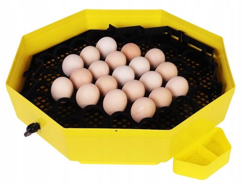 INKUBATOR CLEO 5DTHE 60/41 JAJ WYLĘGARKA KLUJNIK LCD TERMOMETR TACA na Arena.pl