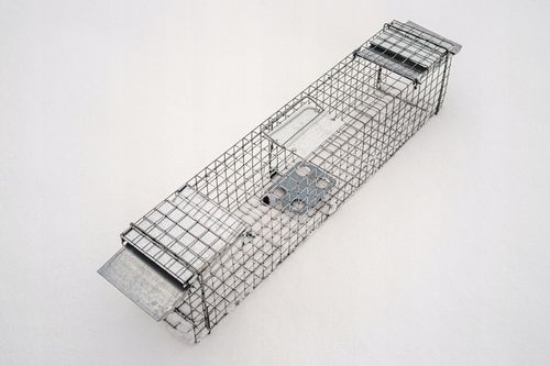 PROFESJONALNA PUŁAPKA ŻYWOŁAPKA KUNY SZCZURY ŁASKI NORKI ŁAPKA na Arena.pl