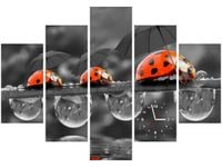 105CM 150CM ZEGAR 5 ELEM SPACEREK DRUK OBRAZ