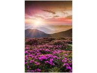 100 70CM OBRAZ PŁÓTNO PIĘKNY KRAJOBRAZ PŁÓTNO RAMA