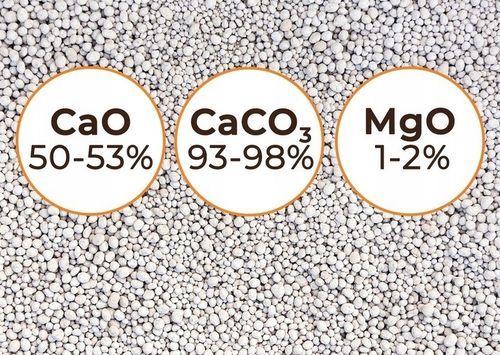 WAPNO GRANULOWANE OGRODNICZE NAWÓZ DO TRAWNIKA 25KG CACO3 na Arena.pl