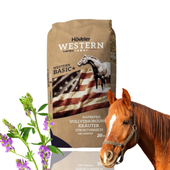 Hoveler Wysokowartościowe Musli Dla Ras Westernowych Western Basic 20kg