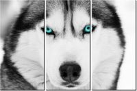 product-compare-58676371