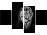 OBRAZ TIGER IN THE DARK