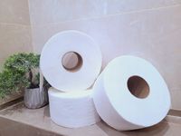 Papier toaletowy Celuloza Jumbo 2-warstwowy 12 rolek