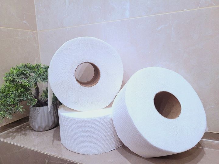 Papier toaletowy Celuloza Jumbo 2-warstwowy 12 rolek zdjęcie 2