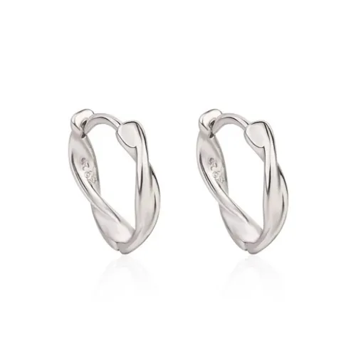 KOLCZYKI SREBRNE 925 DLA KOBIETY na Arena.pl