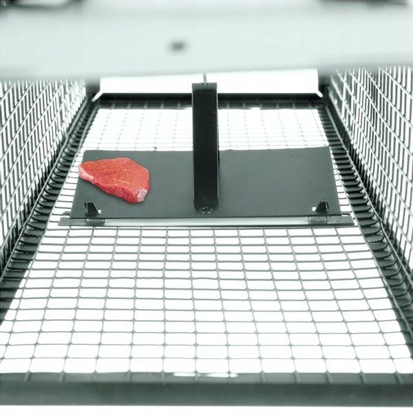 Żywołapka Pułapka na Szczury Kuny Łaski Norki Chwytacz Myszołapka XL Repest zdjęcie 11