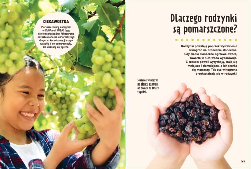 Britannica. Wielka księga pytań dlaczego? na Arena.pl