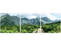 OBRAZ POLNA KAMIENISTA DROGA