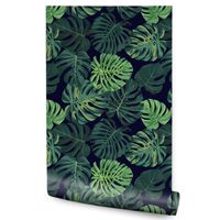 Tapeta W Rolce Duże LIŚCIE Tropikalne MONSTERA Rośliny Efekt 3D