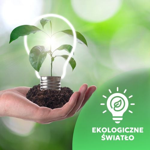 Żarówka LED G9 3W barwa CIEPŁA BIAŁA 3000K 285lm na Arena.pl