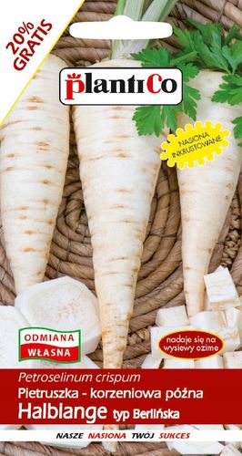 NASIONA Pietruszka Korzeniowa Halblange Berlińska GOF 6g PLANTICO 403710 na Arena.pl