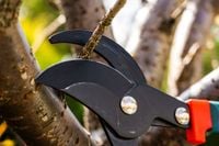SEKATOR DO GAŁĘZI TELESKOPOWY VERTO 15G253