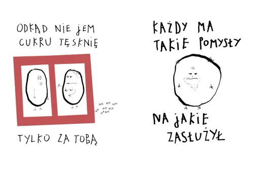 Z punktu widzenia ziemniaka na Arena.pl