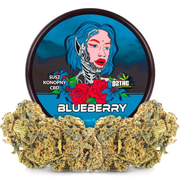 Susz konopny CBD | BLUEBERRY | 100 g zdjęcie 6
