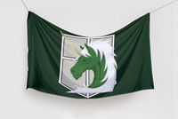 Flaga Attack on Titan - Korpus żandarmerii