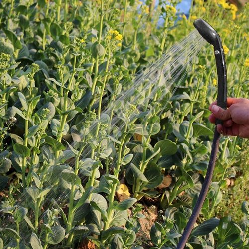 Prysznic TURYSTYCZNY Kempingowy pod Namiot Przenośny Pompka Elektryczna 12V na Arena.pl