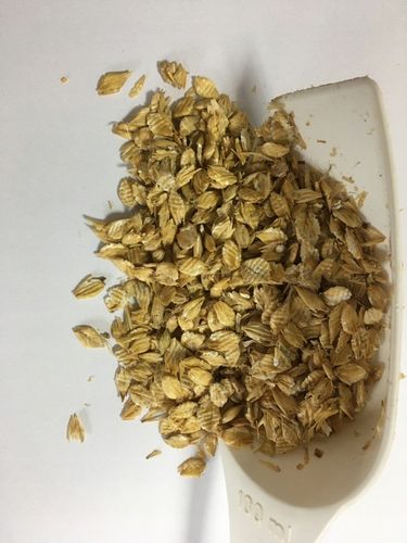 Jęczmień płatkowany mikronizowany dla koni 20 kg na Arena.pl