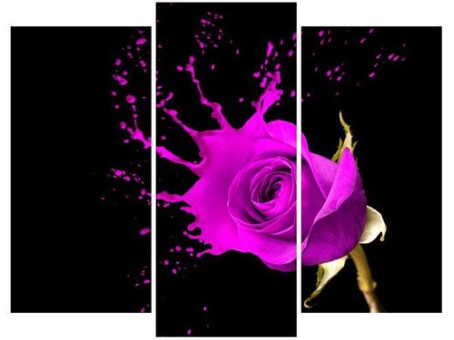 60 90CM OBRAZ 3 ELEM PLUSK ŚCIENNY DRUK PŁÓTNO na Arena.pl