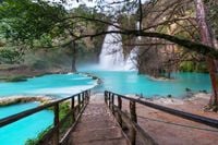 FOTOTAPETA 3d widoki rzeka most las drzewa