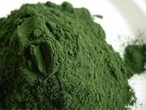 Spirulina Proszek 100g na Arena.pl