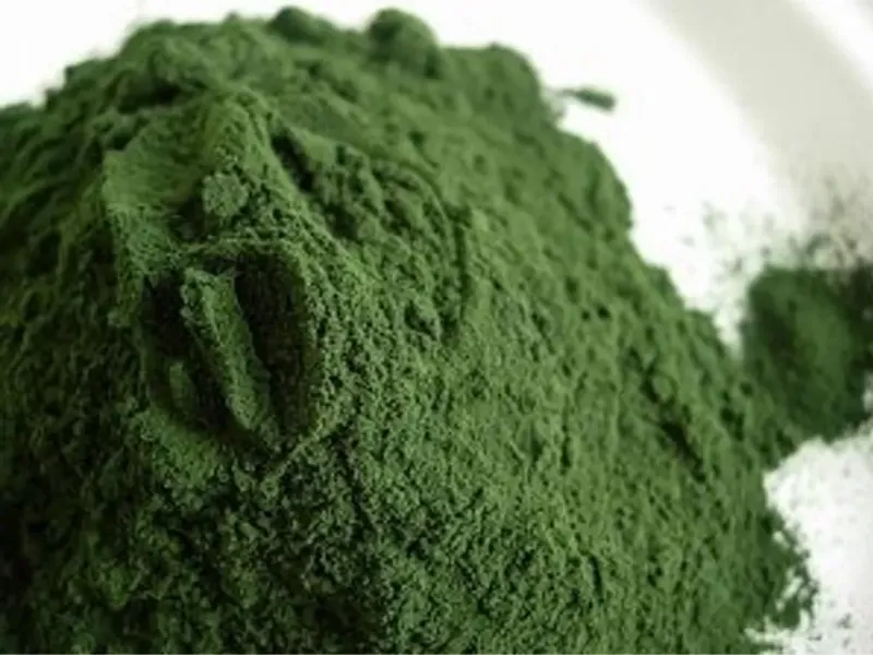 Spirulina Proszek 100g zdjęcie 2