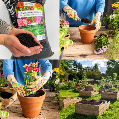 TERRA 40L - ZIEMIA UNIWERSALNA DO WARZYW I KWIATÓW na Arena.pl